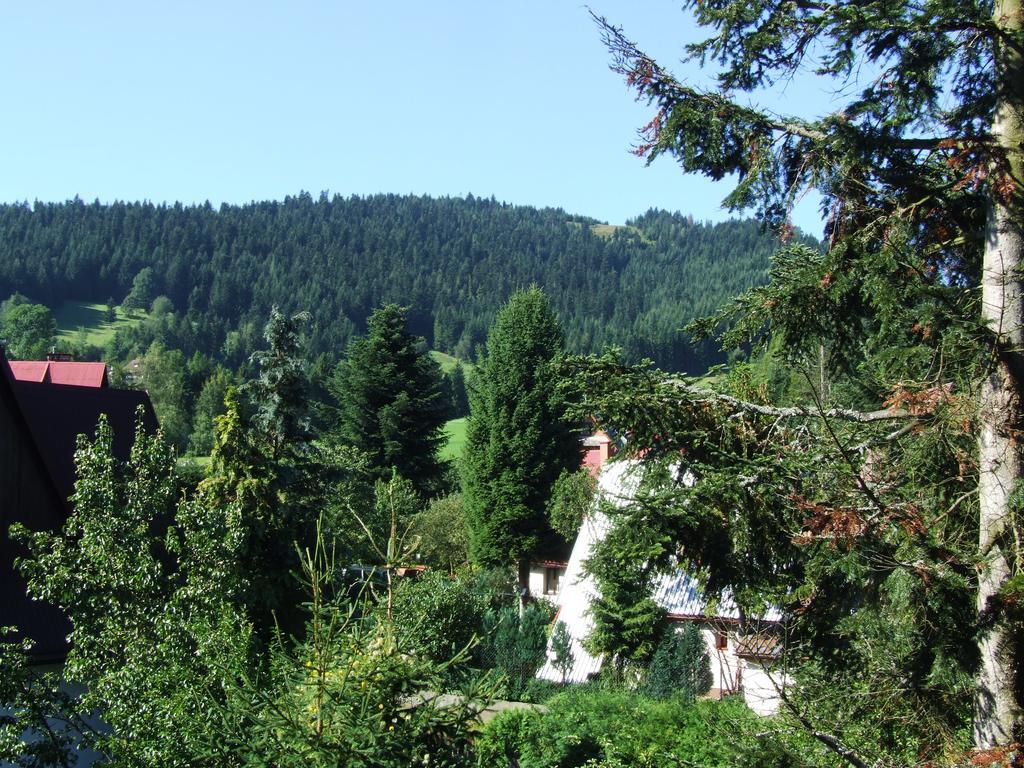 Pod Jaworzyna Ii