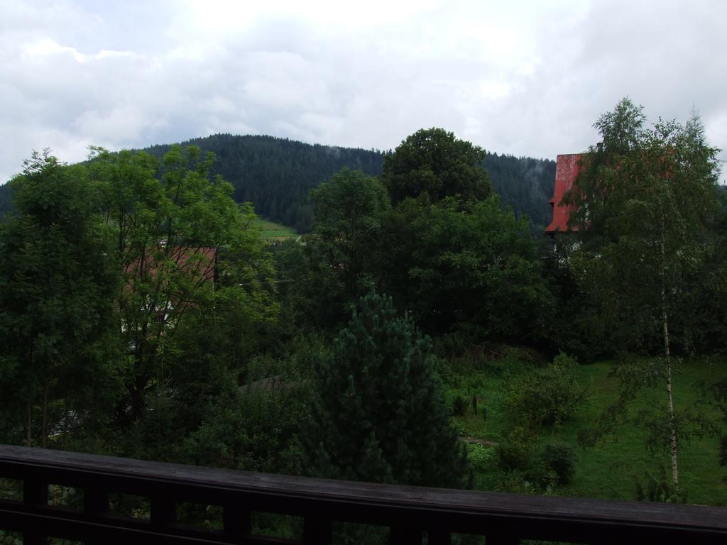 Pod Jaworzyna Ii Koninki